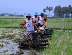 16.303 Petani di Tanah Datar Telah Menikmati Layanan Bajak Sawah Gratis