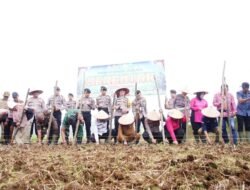 Pemanfaatan Lahan Kosong untuk Swasembada Pangan: Tanah Datar Jadi Bagian Strategi Nasional