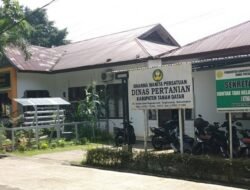 Pemerintah Kabupaten Tanah Datar Optimis Produksi Padi Meningkat pada 2025
