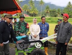 Wali Kota Hendri Arnis Panen Demplot Padi, Dorong Kemandirian Pangan Padang Panjang