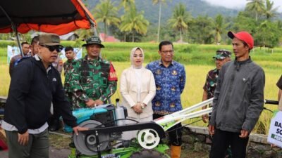 Wali Kota Hendri Arnis Panen Demplot Padi, Dorong Kemandirian Pangan Padang Panjang