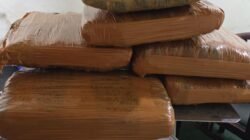 AVSEC Bandara Minangkabau Bongkar Kiriman Ganja 7 Kg Lewat J&T, Rencana Dikirim ke Jakarta!