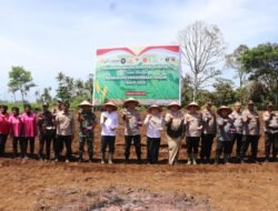 Polres Tanah Datar Tanam Jagung Serentak Dukung Swasembada Pangan Nasional 2025