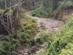 Peningkatan Debit Air Sungai dari Gunung Marapi Setelah Hujan Lebat, Pemda Ingatkan Warga Tetap Waspada