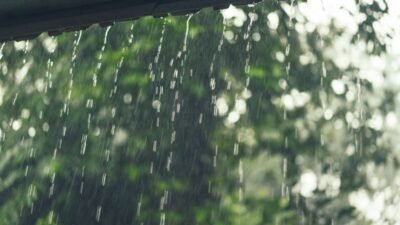 BMKG: Tiga Hari ke Depan Sumatera Barat Berpotensi Diguyur Hujan Lebat Disertai Petir